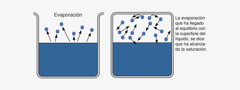 Con Objeto De Poder Evaporarse, Una Masa De Agua, Debe - Evaporation A Surface Phenomenon, transparent png