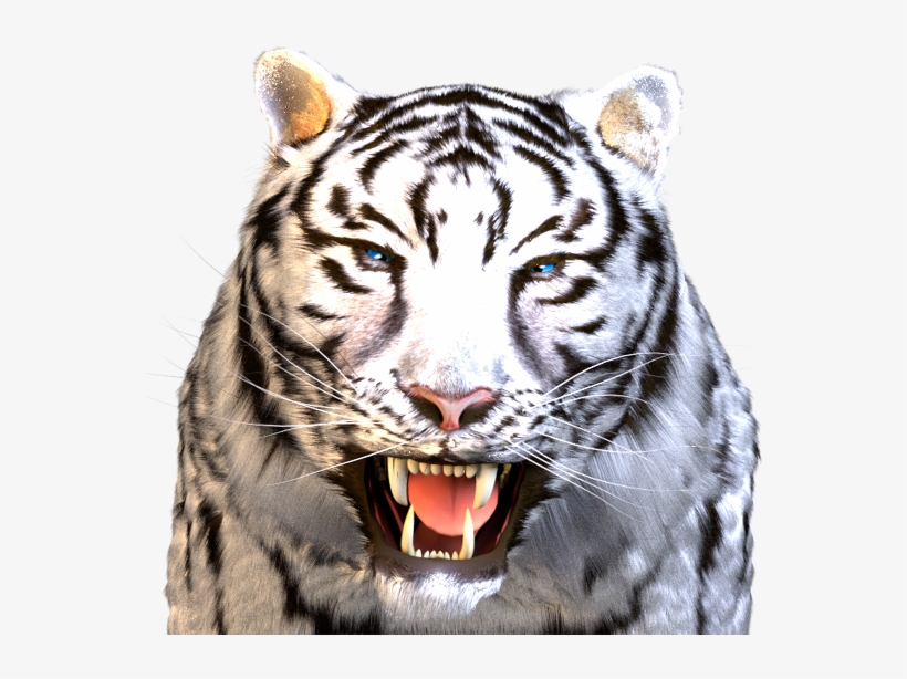 Aruze Tiger Character - Tiger, transparent png