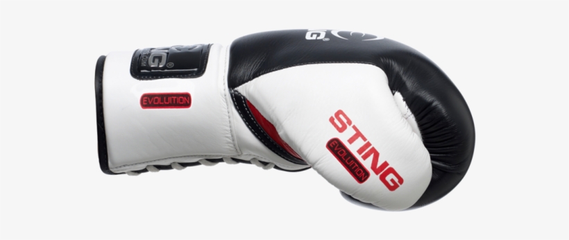 Sting Boxing Gloves Evolution Lace-up 8/10oz Black/red - Amateur Boxing, transparent png