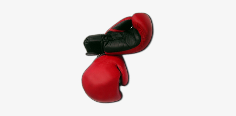 Home - Boxing Gloves, transparent png