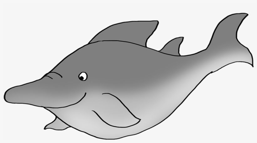 Shark Like Fish Drawing - Drawing, transparent png