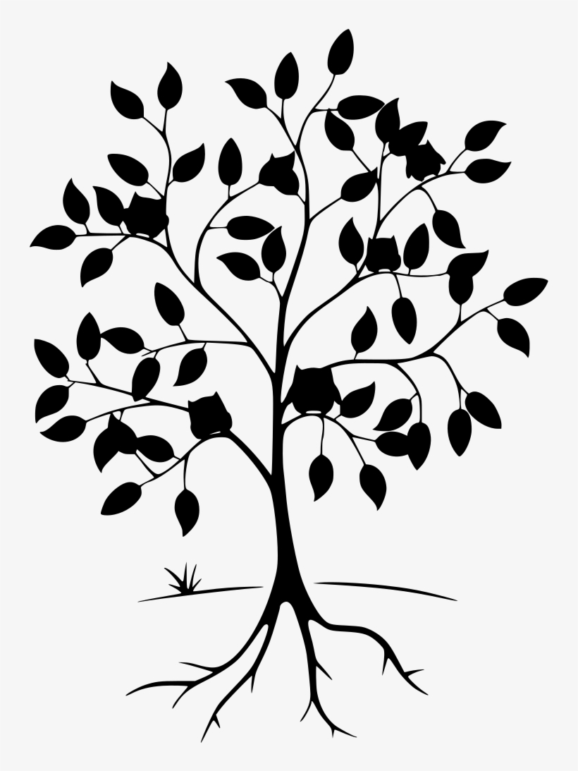 Download Png - Tree Of Life Png, transparent png