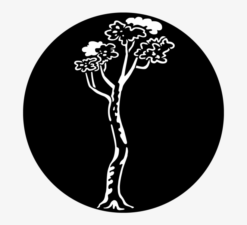 Tree - Maple - Apollo Design 3523 Tree Maple Steel Pattern, transparent png