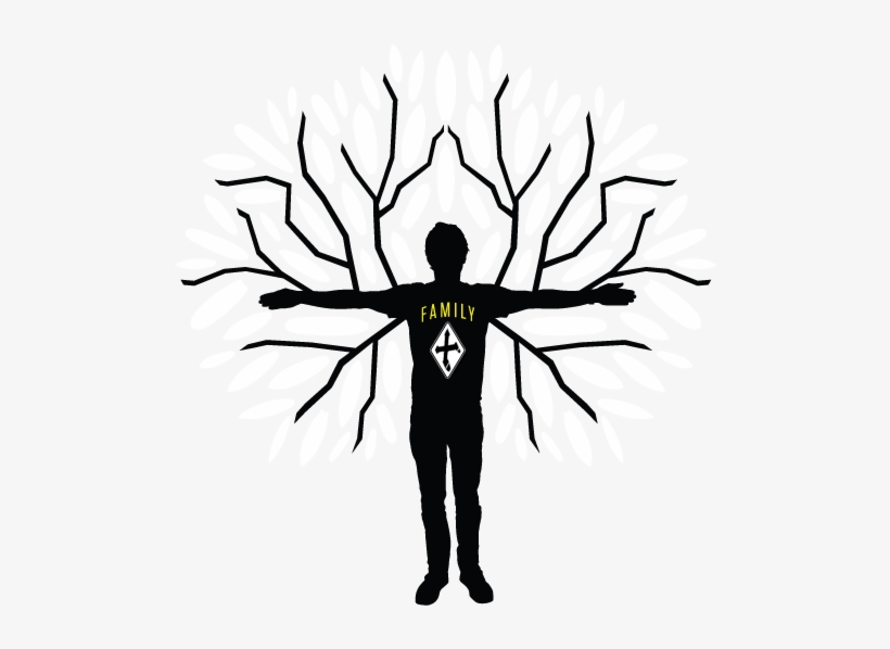 'the Xanadu Family Of Boards Was Born Of The Concept - Design, transparent png
