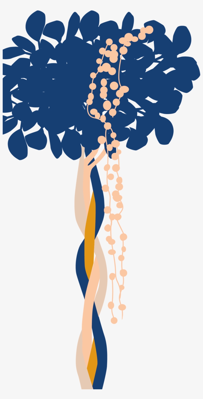 Bloomscape Potted Ficus Danielle - Illustration, transparent png