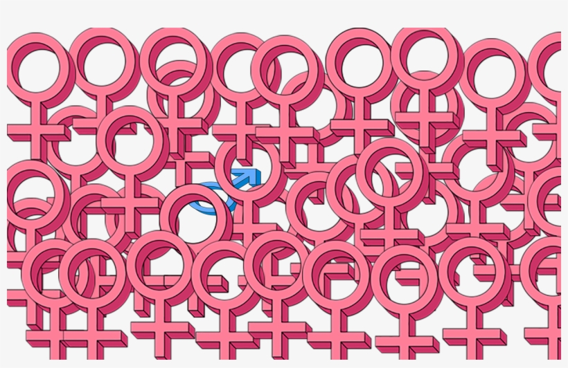Men In Social Work - Circle, transparent png