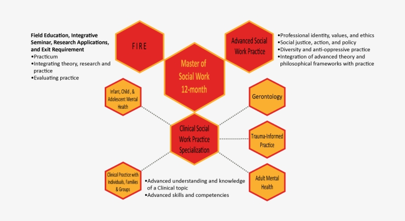 The Msw 12 Month Pathway Consists Of 12 Courses - University Of Calgary, transparent png