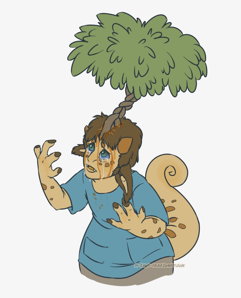 Ficus - Fig Trees, transparent png