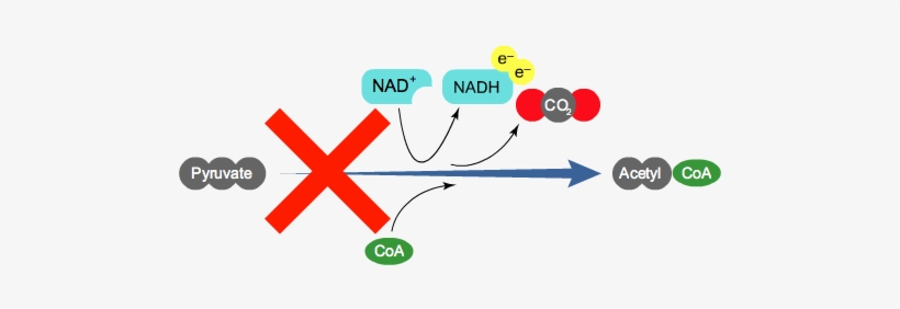 17 Apr 2015 - Parallel, transparent png