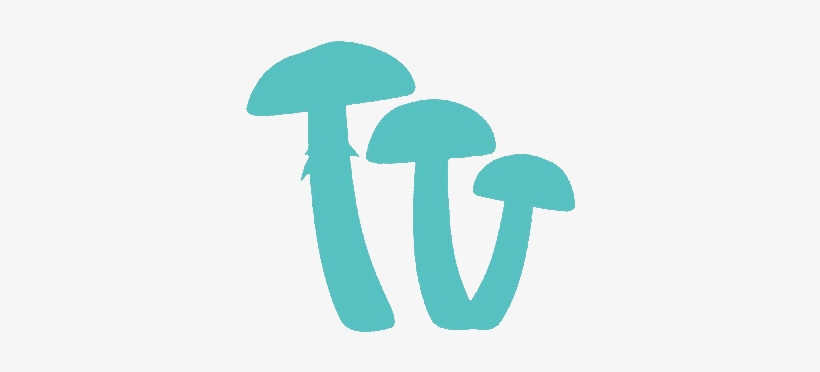 Choose The Type Of Shroom - Shiitake, transparent png