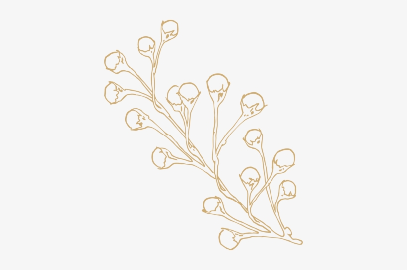 And Help You Feel Comfortable In Front Of The Camera - Drawing, transparent png