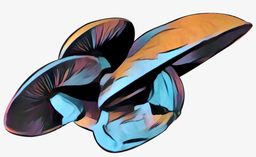 T-shirt, transparent png