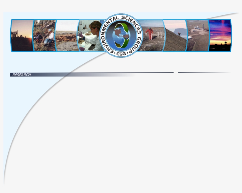 Research, transparent png