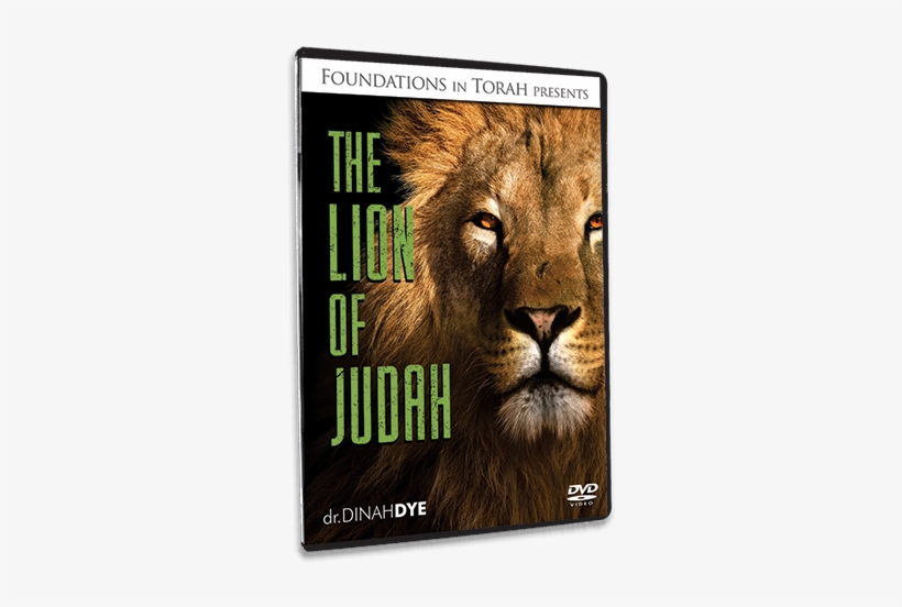 The Lion Of Judah - Life & Faith Of C.s. Lewis:, transparent png
