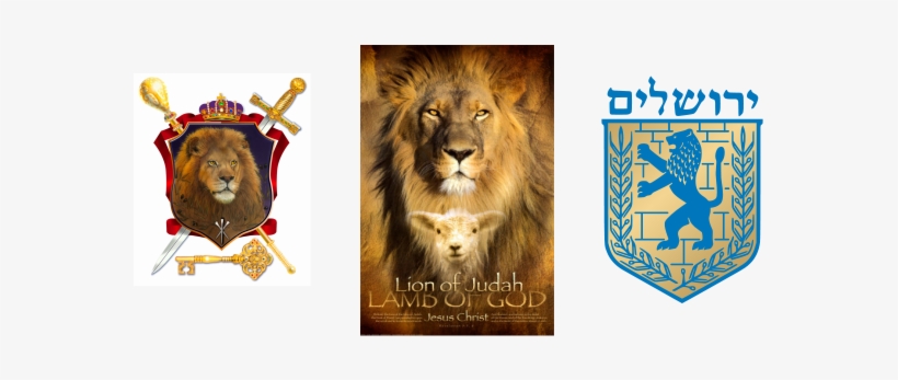 Lion Of Judah Healing Ministry Is Copyrighted Lion And The Lamb Banner 577x267 Png Download Pngkit