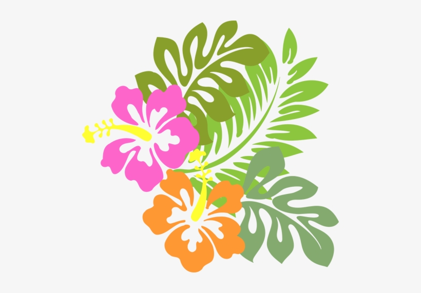 Hollis Higgins - Hibiscus Clip Art, transparent png
