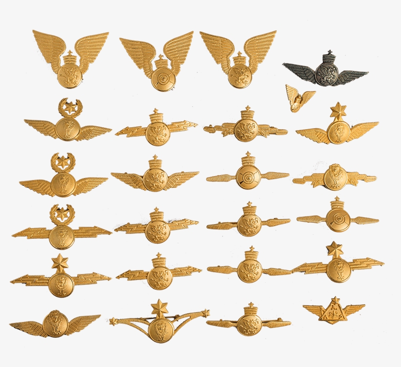 The Lion Of Judah - Girl, transparent png