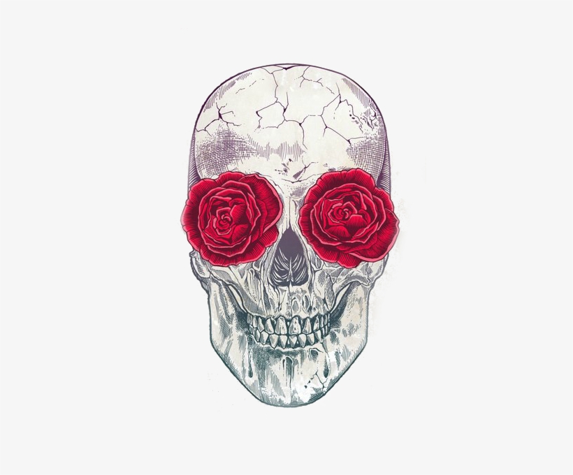 4 - Bp - Blogspot - Com - Skull And Roses Poster Print By Rachel Caldwell, transparent png