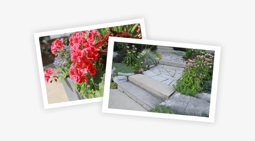 At Western Landscape Services We Look After Your Property - Landscaping, transparent png