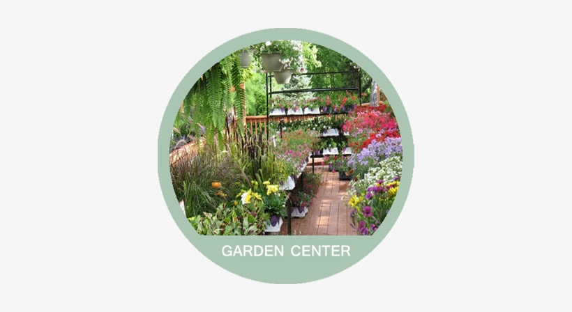 A&a Plants - A & A Plants, transparent png