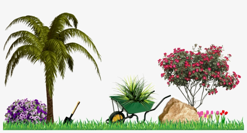 Gardening Services - Palm Trees, transparent png