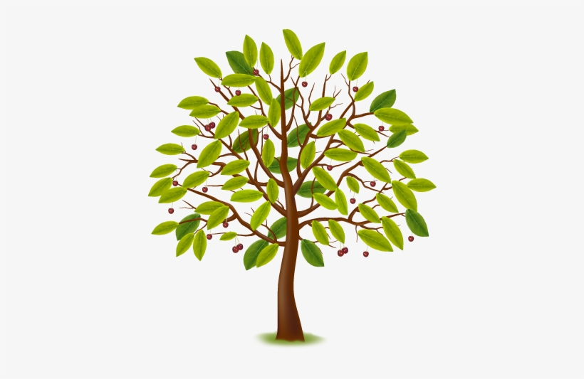 Home-tree - Lente Zomer Herfst Winter, transparent png