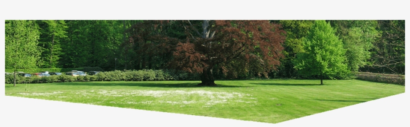 Contact Form - Lawn, transparent png