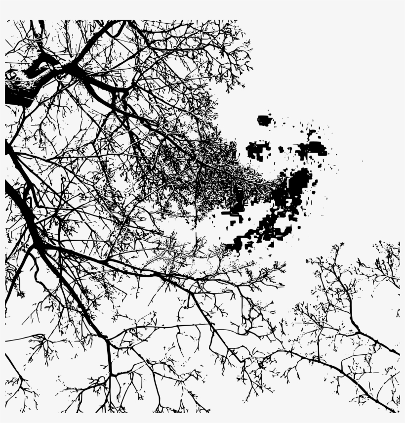 This Free Icons Png Design Of Branches By Stylistica, transparent png