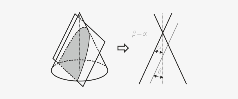 Que Corta A La Superficie Cónica Es Igual Que El Semiángulo - Parabola En Un Cono, transparent png