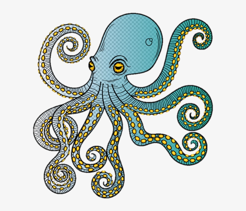 Polvo - Octopus, transparent png