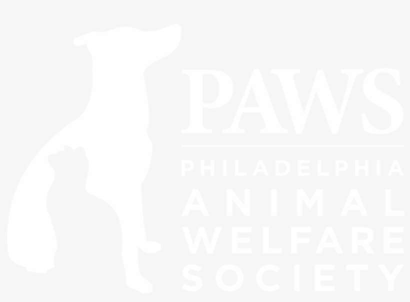 Spay/neuter And Wellness Clinic - Cat, transparent png