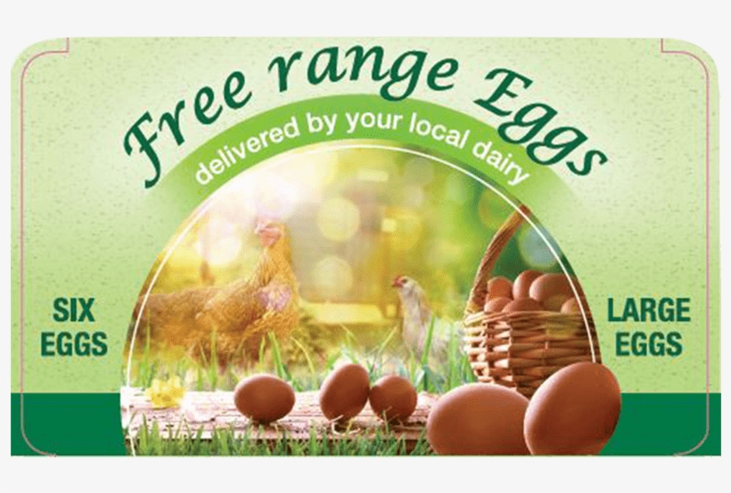 Egg - My Heart Belongs To Elephant Polo Round Ornament, transparent png