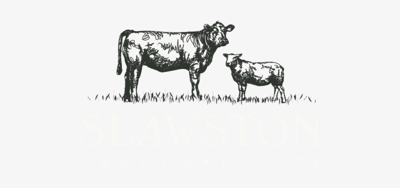 Brand Identity And Design For Slawston Grange Estate - Dairy Cow, transparent png