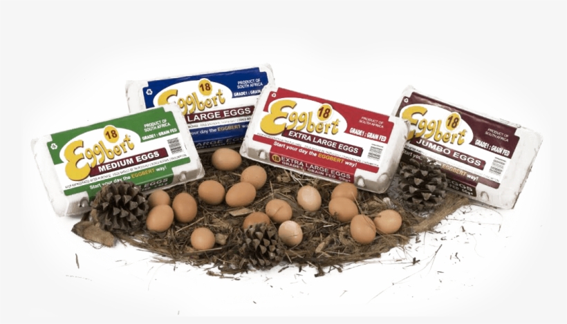 5 Dozen, 60's Carry Pack - Kiwifruit, transparent png