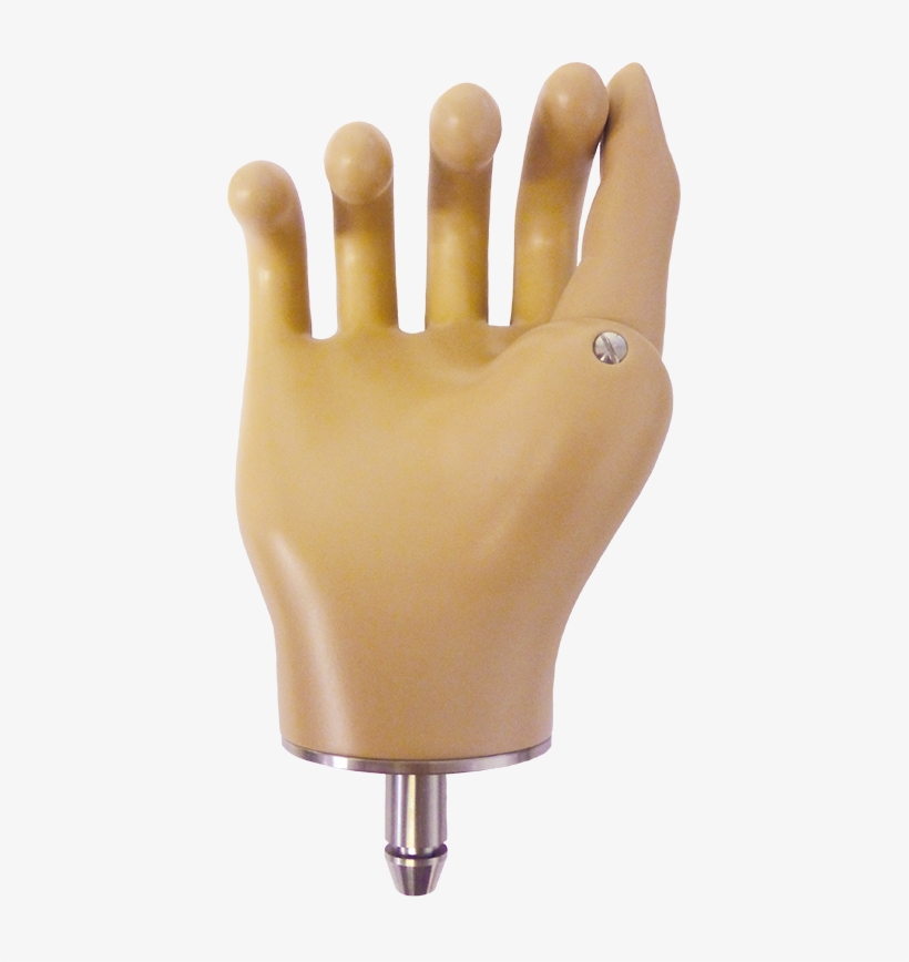 Enhanced Steeplon Hand - Hand, transparent png