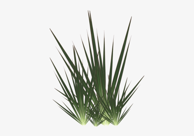 Transparent Vomit - Weed Whacker Lawn Care, transparent png