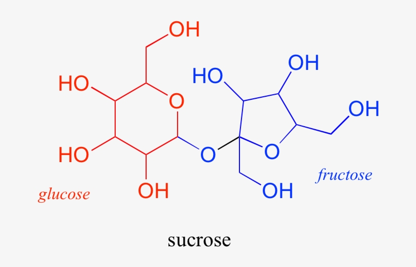 Oligosaccharides And Polysaccharides Are Longer Polymers - Quercetin, transparent png