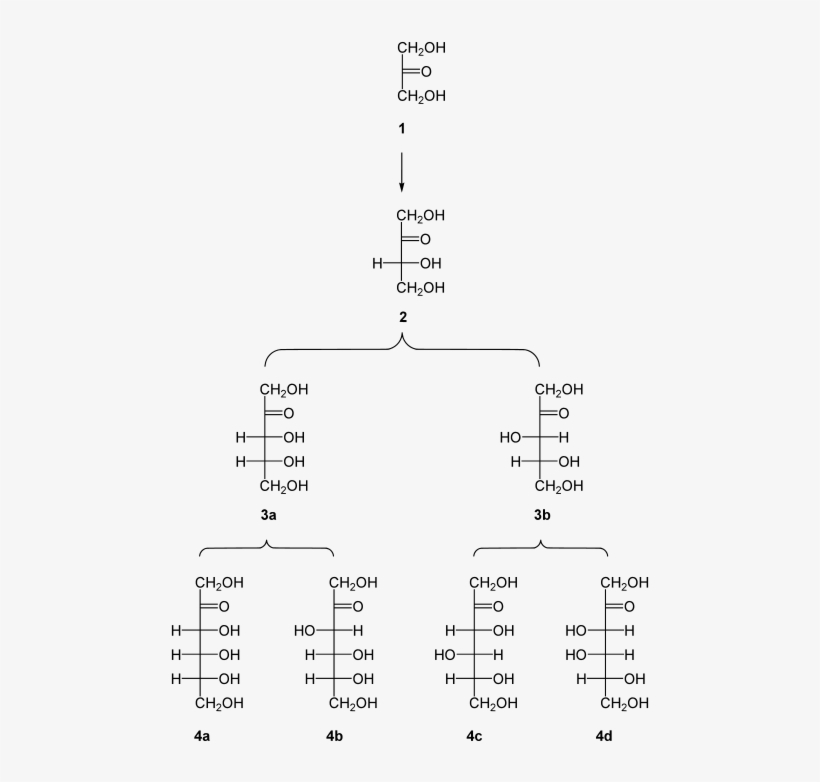 Wikibooks, Open Books For An Open World - Family Of D Ketoses, transparent png