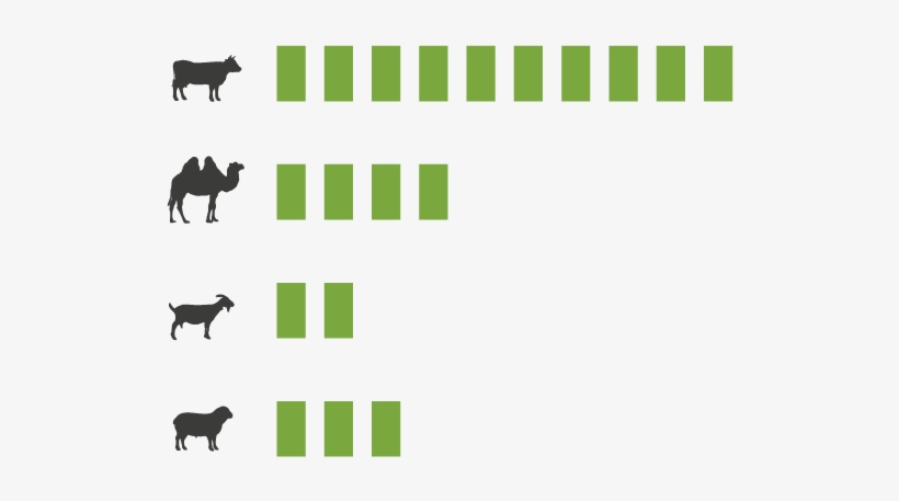 Analytical Data Sheet - Silhouette, transparent png