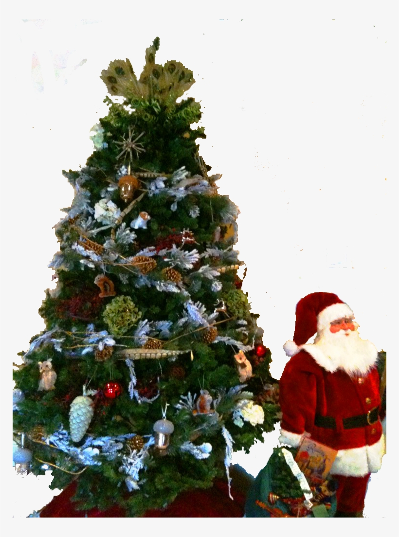 Here's A List Of Memorable Quotes - Christmas Tree, transparent png