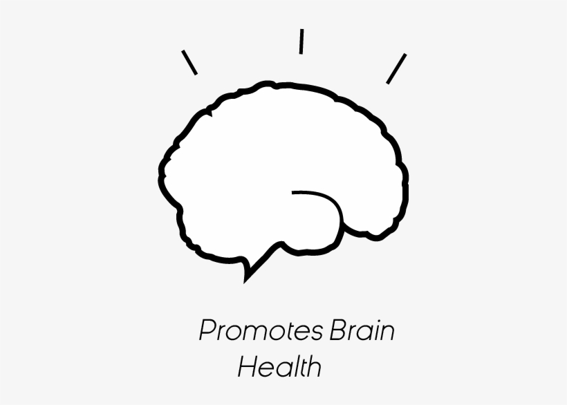 Brain Ryan Jacobson 2017 04 03t20, transparent png