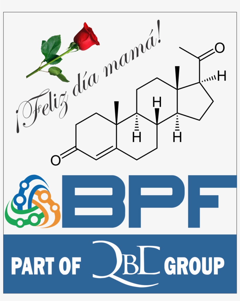 Deja Un Comentario Cancelar Respuesta - Hearthlytics, transparent png