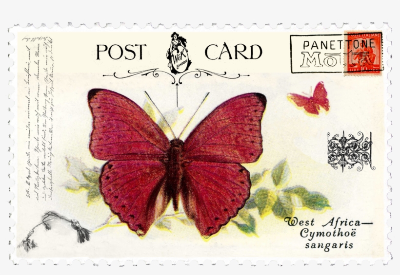 Juno Vintage Butterfly Postage Stamp - Post Stamp Vintage Png, transparent png