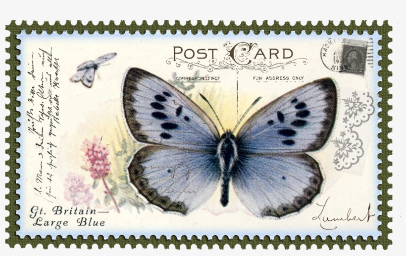 Postage Stamp Png Download - Georgetown, transparent png