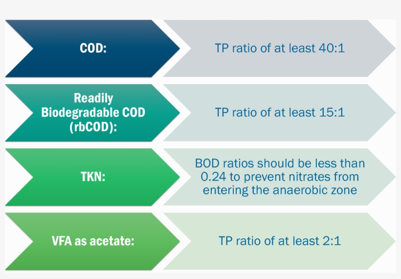 Successful Bpr Criteria - Graphic Design, transparent png