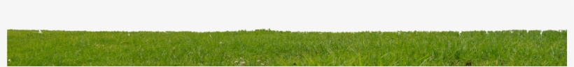 Go To Image - Grass, transparent png