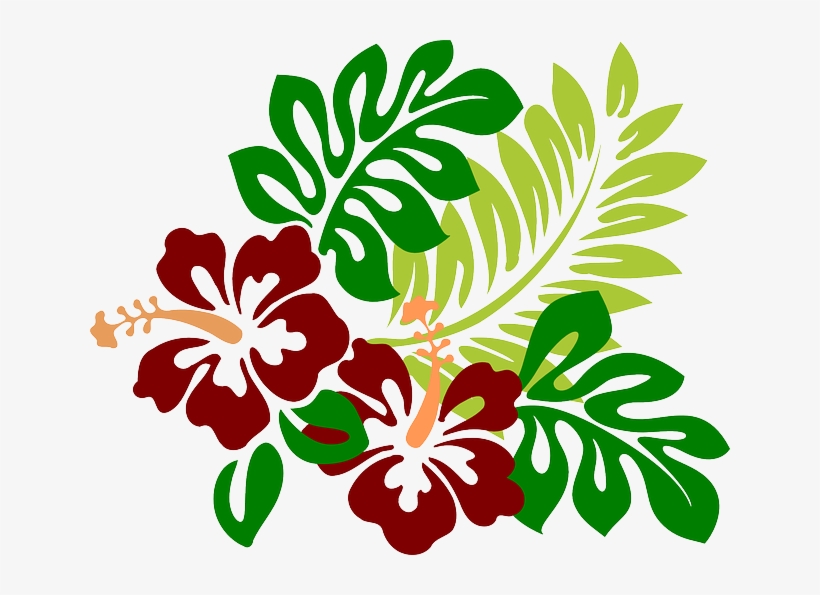 Imagen Gratis En Pixabay - Hibiscus Clip Art, transparent png