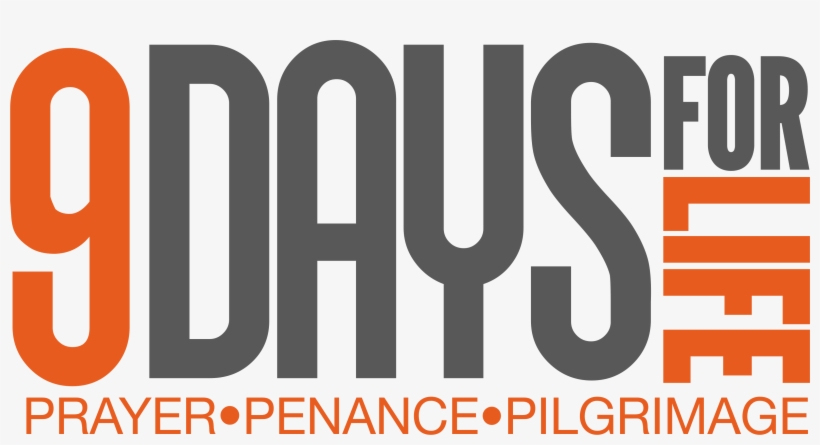 Gray With Orange - Logos Are Orange And Grey, transparent png