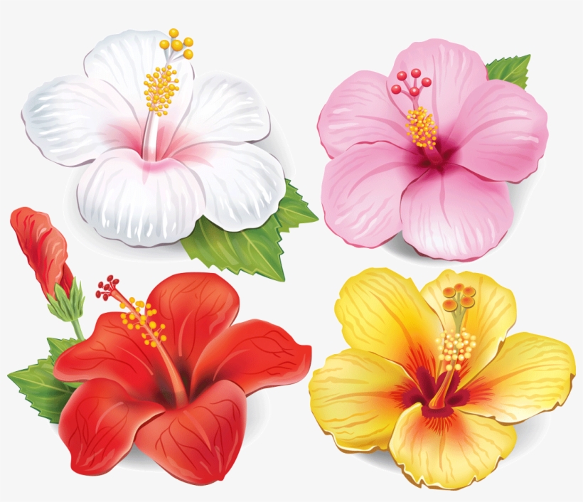 #8 Aufkleber 12er Setautotattoohibiskus Farbigblumen - Hibiscus Vector Free, transparent png