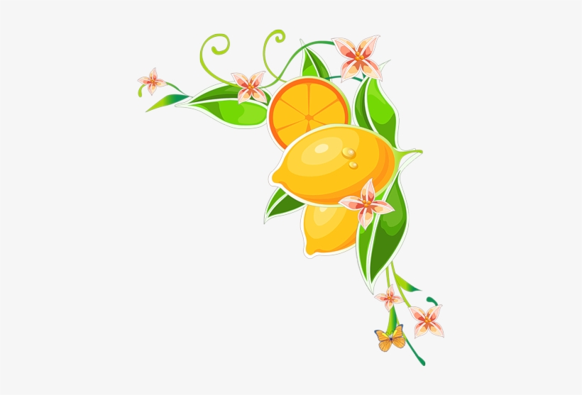 008 - Flower Wall Mural - Beautiful Butterfly, transparent png
